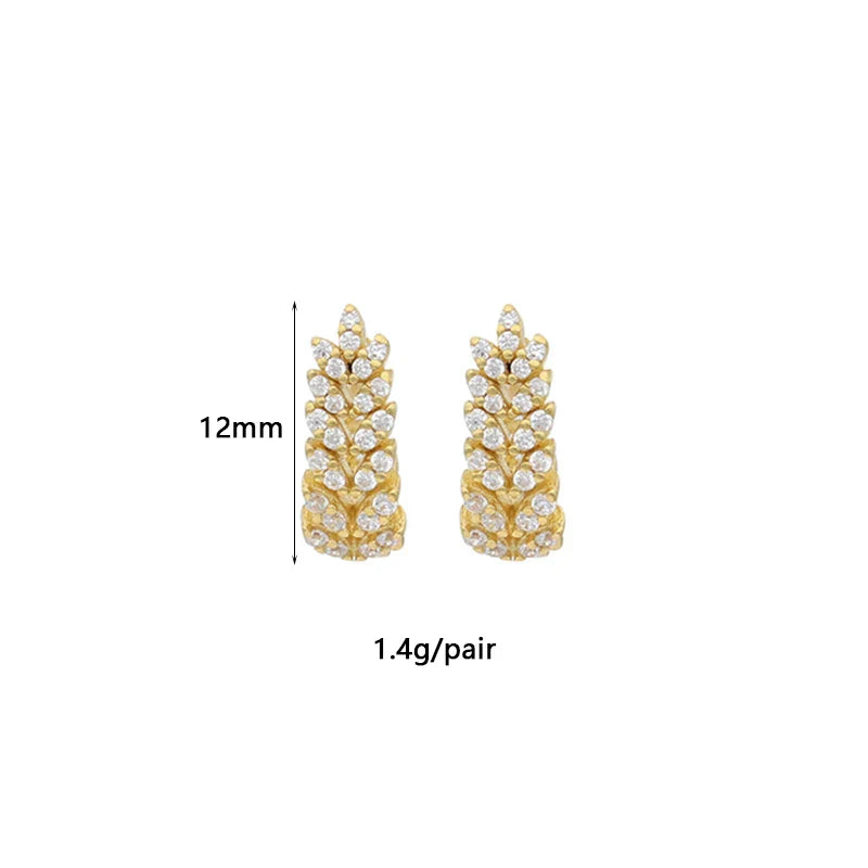 Brincos de Argola de Zircônia Feminino