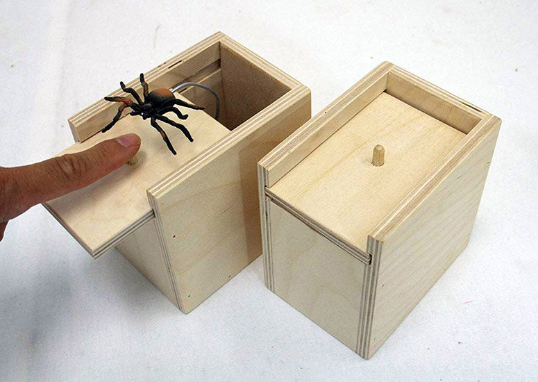 Caixa com Aranha Assustadora